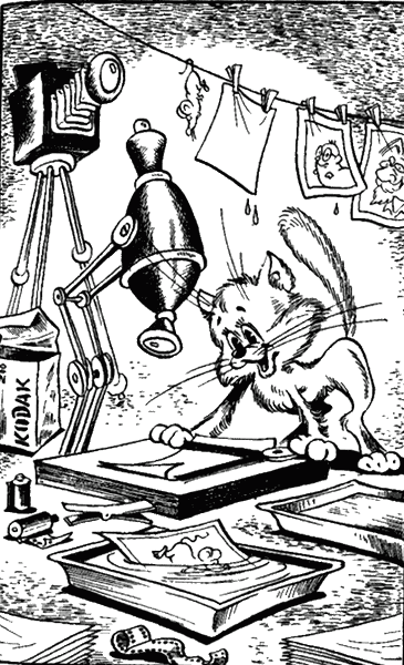 Сказочные повести. Выпуск второй - i_028.png