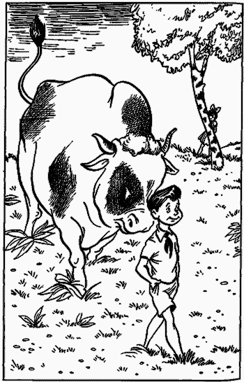 Невероятные истории. Авторский сборник - i_027.png