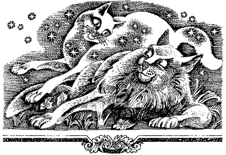 Миссия Огнезвезда. Книга 1. Искупление - i_009.png