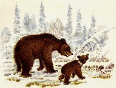 Жил-был медведь - _002.jpg