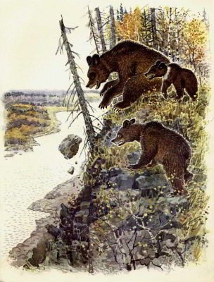 Жил-был медведь - _006.jpg
