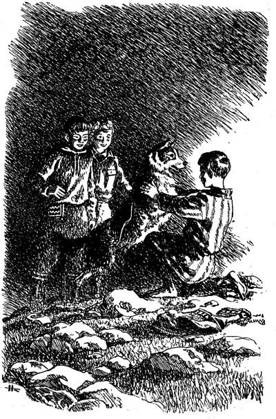 На Севере дальнем - _010197.jpg