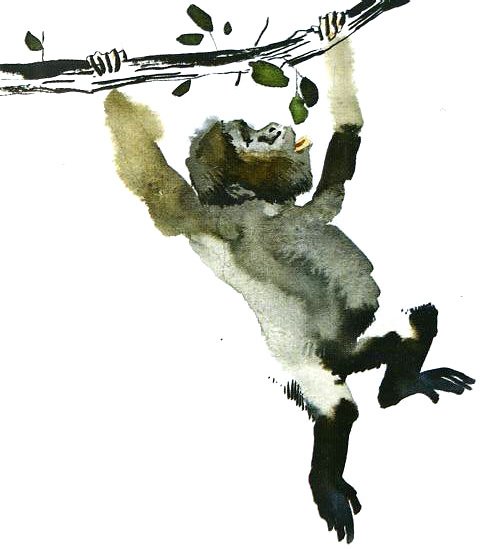 Горилла, которая хотела повзрослеть - i_004.jpg