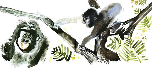 Горилла, которая хотела повзрослеть - i_007.jpg