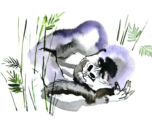 Горилла, которая хотела повзрослеть - i_008.jpg