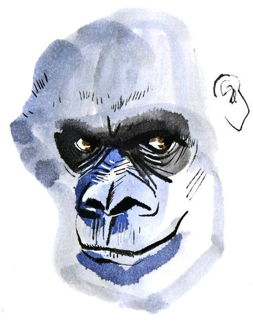 Горилла, которая хотела повзрослеть - i_024.jpg