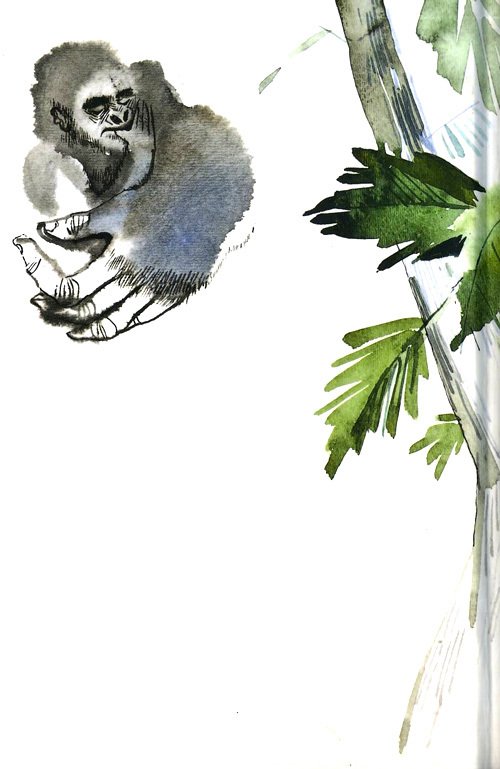 Горилла, которая хотела повзрослеть - i_039.jpg