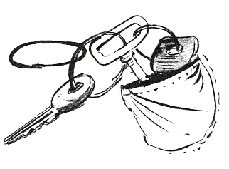 Парящий тигр - i_061.png