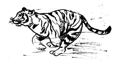 Парящий тигр - i_069.png