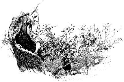 Великие сказочники - i_068.jpg