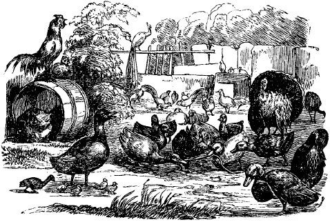 Великие сказочники - i_087.jpg