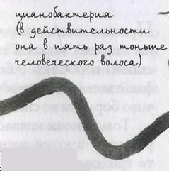 Принц из страны облаков - pic_88.jpg