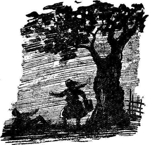 Маэстро Воробышек - img_12.jpeg