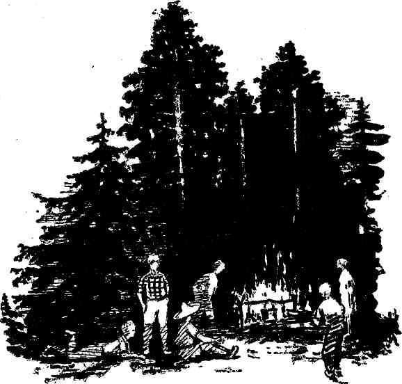 Маэстро Воробышек - img_32.jpeg