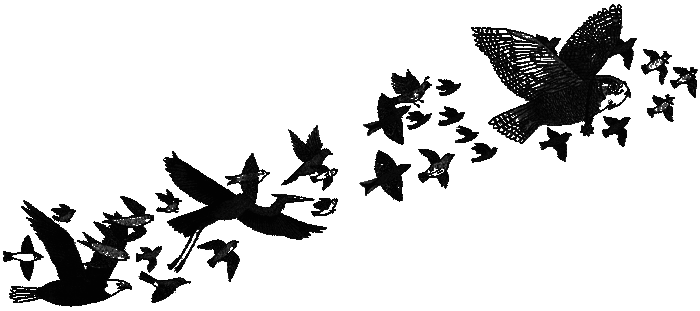 Дикий лес - i_026.png