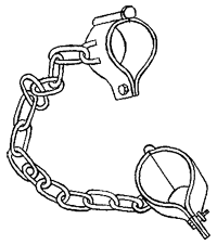 Дикий лес - i_033.png