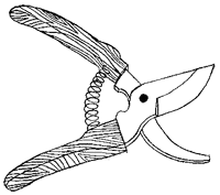 Дикий лес - i_068.png