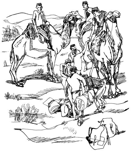Восемьдесят восемь дорог - i_012.png