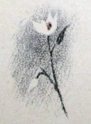 Кирюшка - i_033.jpg