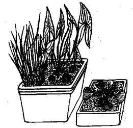 Справочник современного ландшафтного дизайнера - i_019.jpg