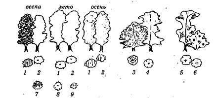 Справочник современного ландшафтного дизайнера - i_030.jpg