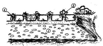 Справочник современного ландшафтного дизайнера - i_032.jpg