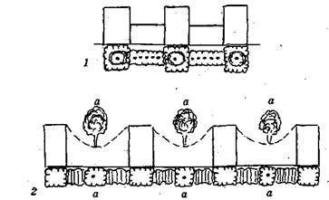Справочник современного ландшафтного дизайнера - i_036.jpg