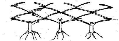 Справочник современного ландшафтного дизайнера - i_050.jpg