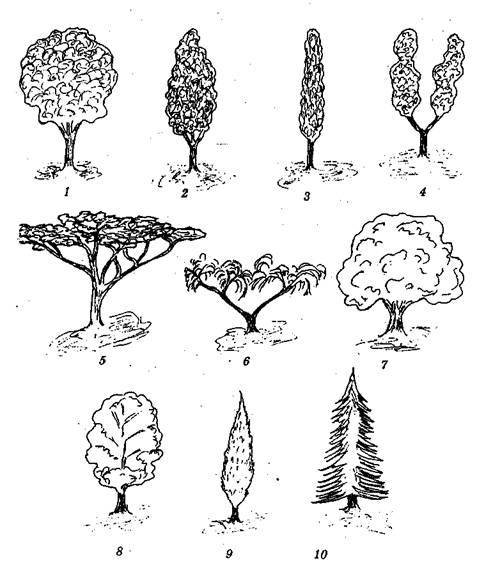 Справочник современного ландшафтного дизайнера - i_051.jpg
