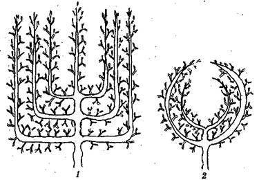 Справочник современного ландшафтного дизайнера - i_070.jpg