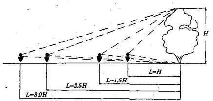 Справочник современного ландшафтного дизайнера - i_077.jpg