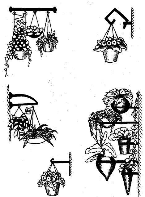 Справочник современного ландшафтного дизайнера - i_087.jpg