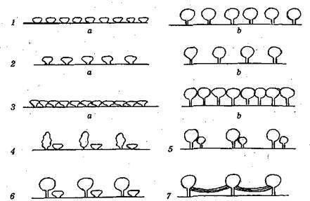 Справочник современного ландшафтного дизайнера - i_097.jpg