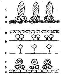 Справочник современного ландшафтного дизайнера - i_098.jpg