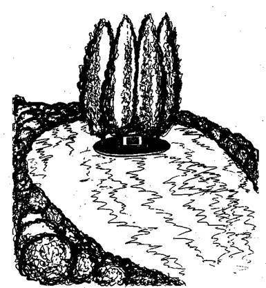 Справочник современного ландшафтного дизайнера - i_105.jpg