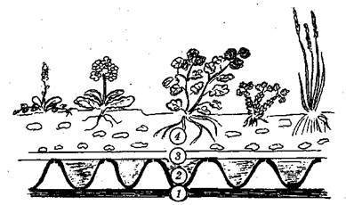 Справочник современного ландшафтного дизайнера - i_106.jpg