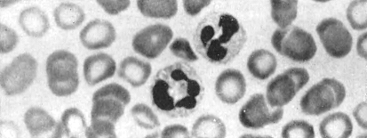 Драматическая медицина. Опыты врачей на себе (с ориг. илл.) - i_011.png