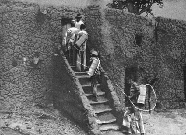 Драматическая медицина. Опыты врачей на себе (с ориг. илл.) - i_014.png