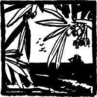 Тайны географических названий - i_018.png