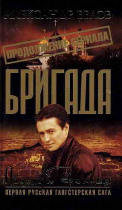 Книга Поцелуй Фемиды