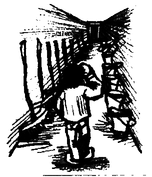 Тысяча жизней. Ода кризису зрелого возраста - i_055.png