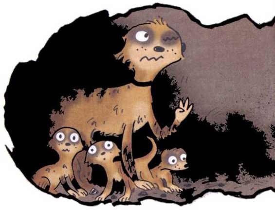 Сурикаты-сумасброды. Невероятно смешные приключения в пустыне - i_020.jpg