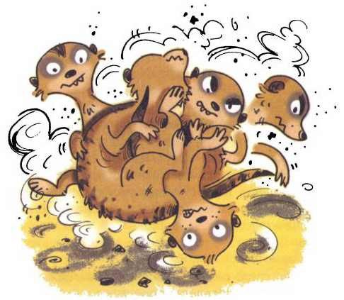 Сурикаты-сумасброды. Невероятно смешные приключения в пустыне - i_023.jpg