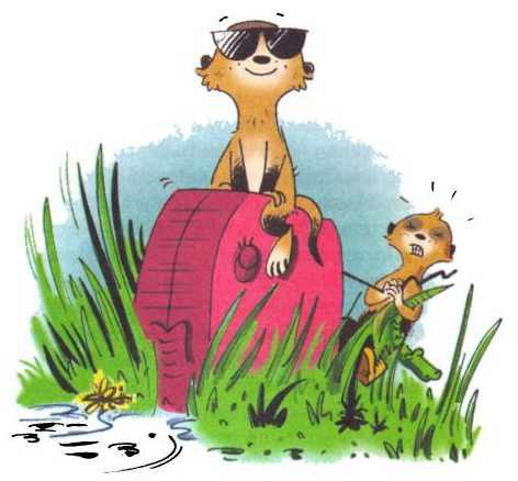 Сурикаты-сумасброды. Невероятно смешные приключения в пустыне - i_049.jpg