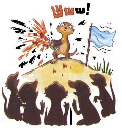 Сурикаты-сумасброды. Невероятно смешные приключения в пустыне - i_061.jpg