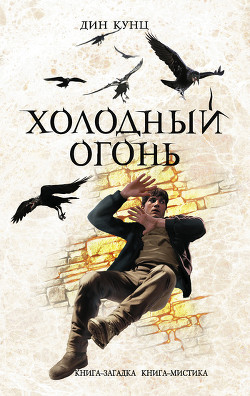 Книга Холодный огонь