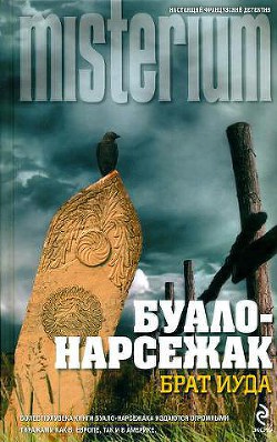 Читать онлайн книгу На склоне лет автор Буало-Нарсежак Пьер Том Книга На склоне лет