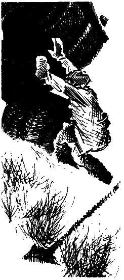 Зона действия - i_006.png