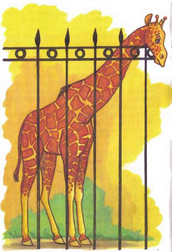 Дед Мороз и лето - i_052.jpg