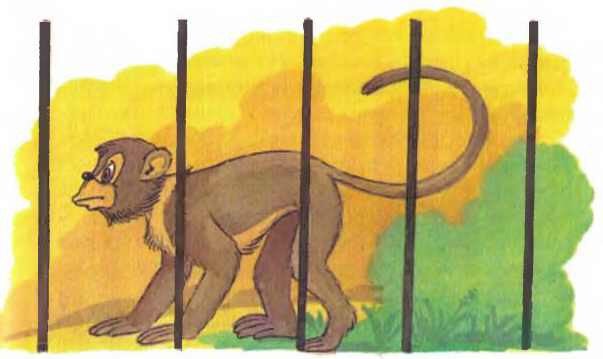 Дед Мороз и лето - i_053.jpg